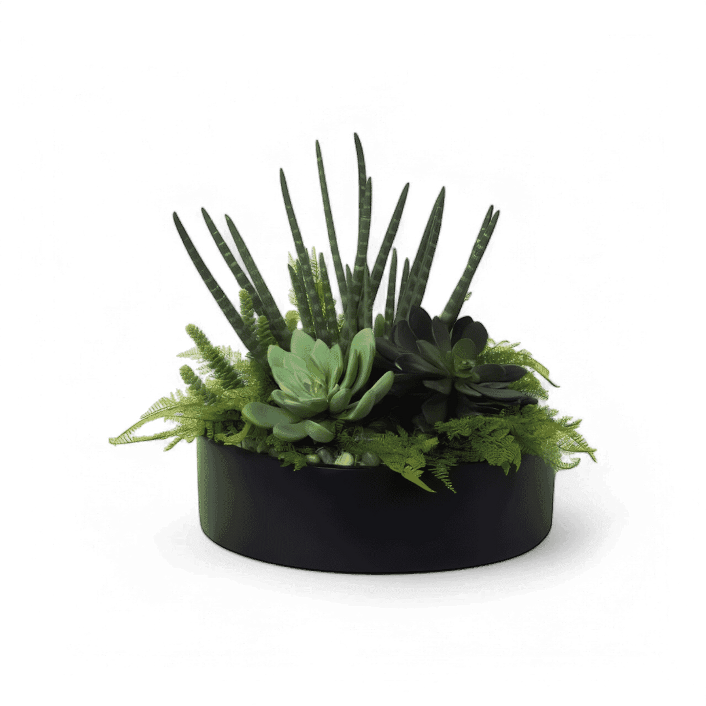 19 Aménagement de la jungle urbaine