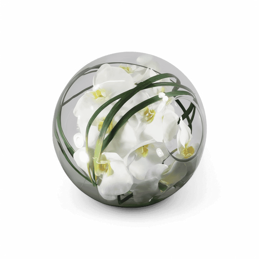 12 bols à orchidées avec herbe blanche