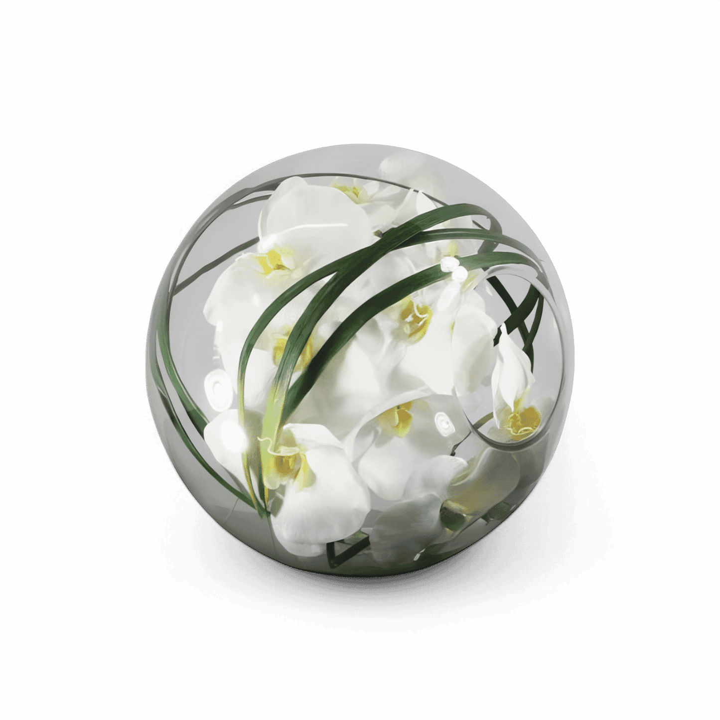 12 bols à orchidées avec herbe blanche