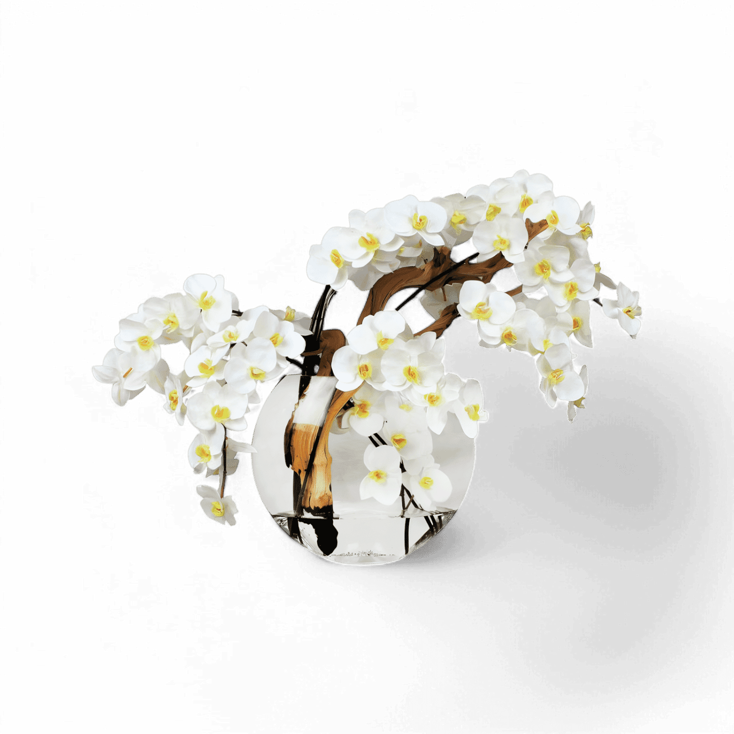 16 Vase Lune Blanc