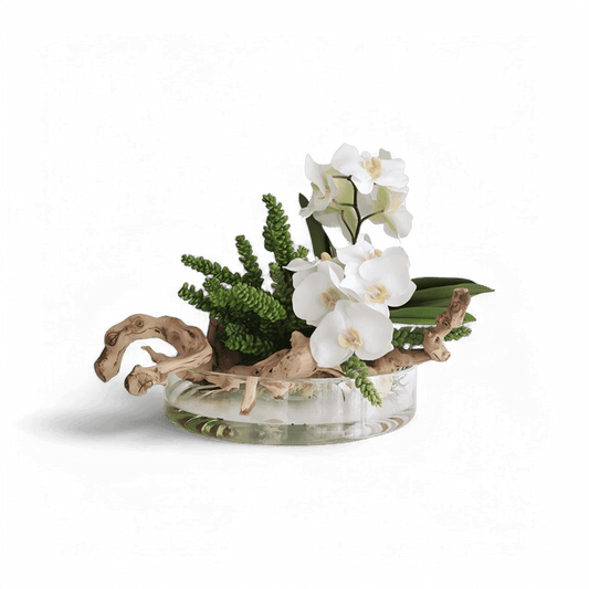 16 orchidées Heritage Vase et bois blanc